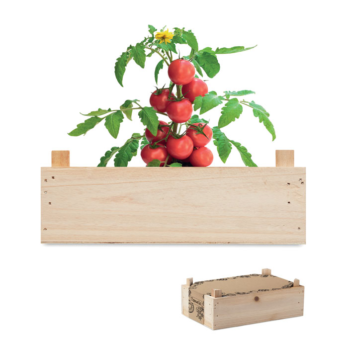 Tomato growing kit | Eco gift